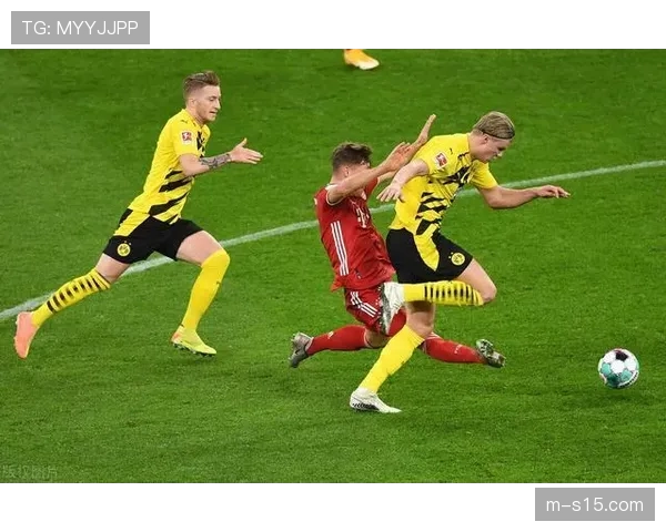 布格尔双响领衔霍芬海姆完成精彩逆转 布格尔双响领衔霍芬海姆完成精彩逆转